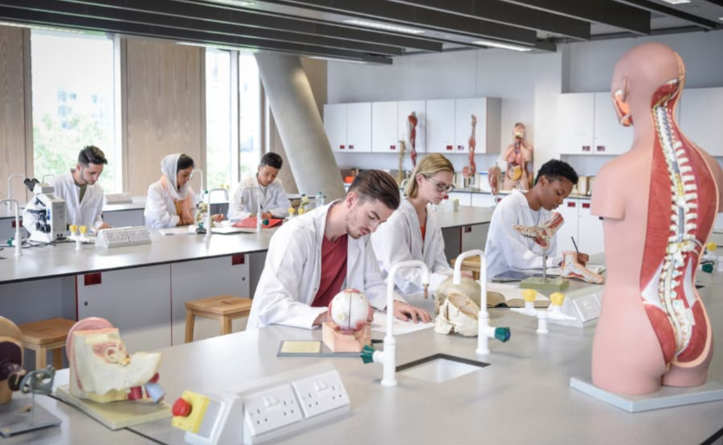 Bachelor of Science