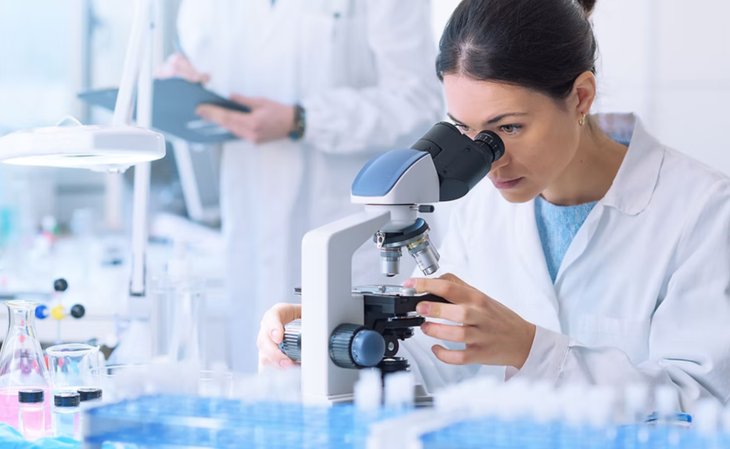 Research Based PhD